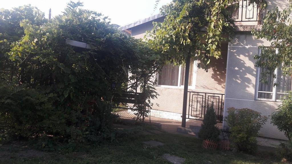 Sadyba Karpatskyi Vedmid Kosiv Ngoại thất bức ảnh